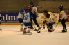 DSC_02 (22)